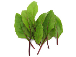 Baby Red Beet leaves