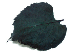 Red Shiso Leaves